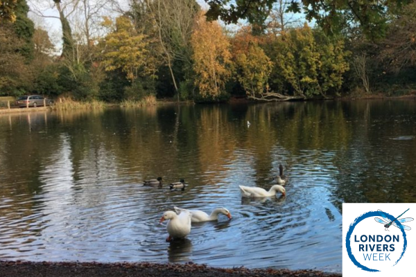 Thames21 tweet media