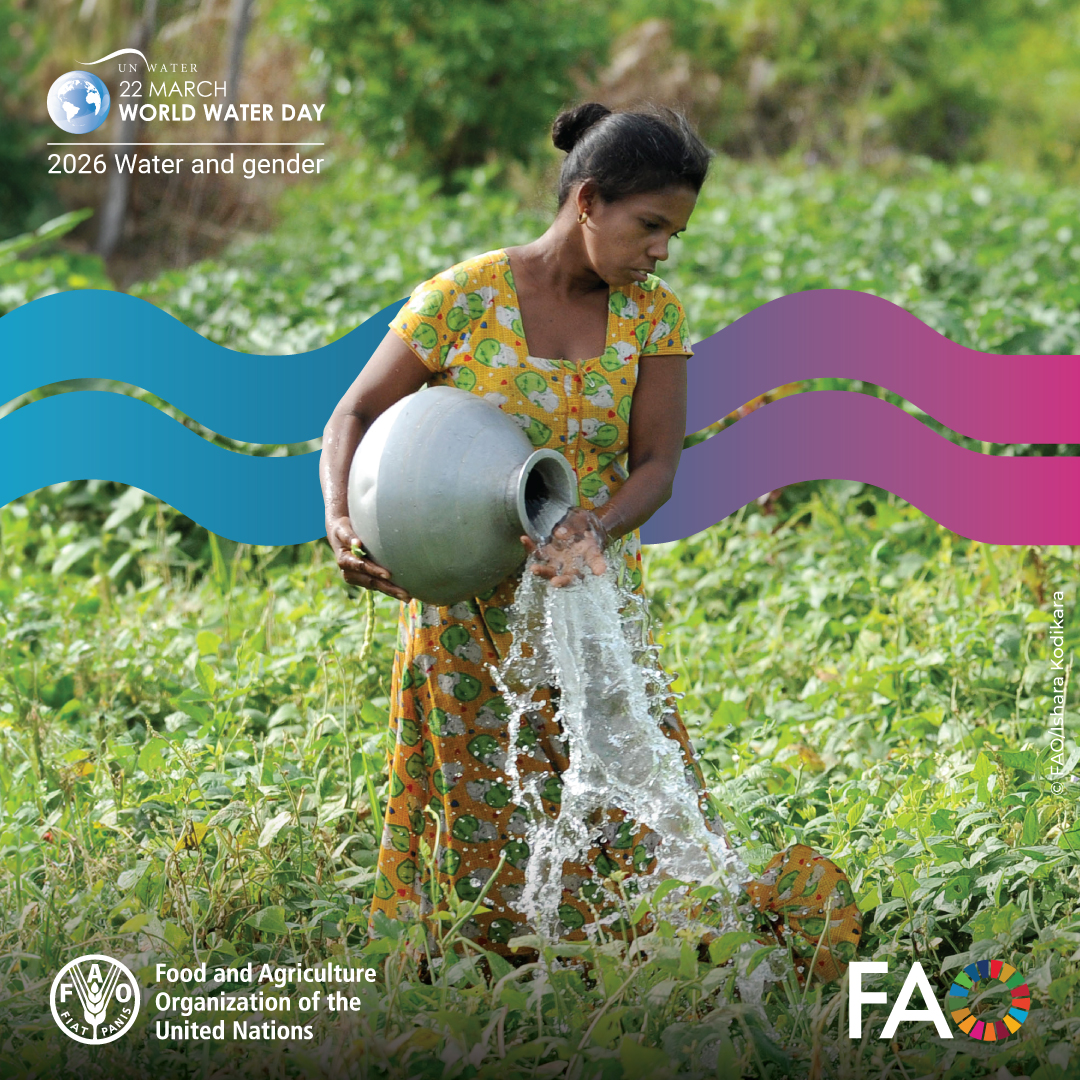 FAO Land, Soil and Water tweet media