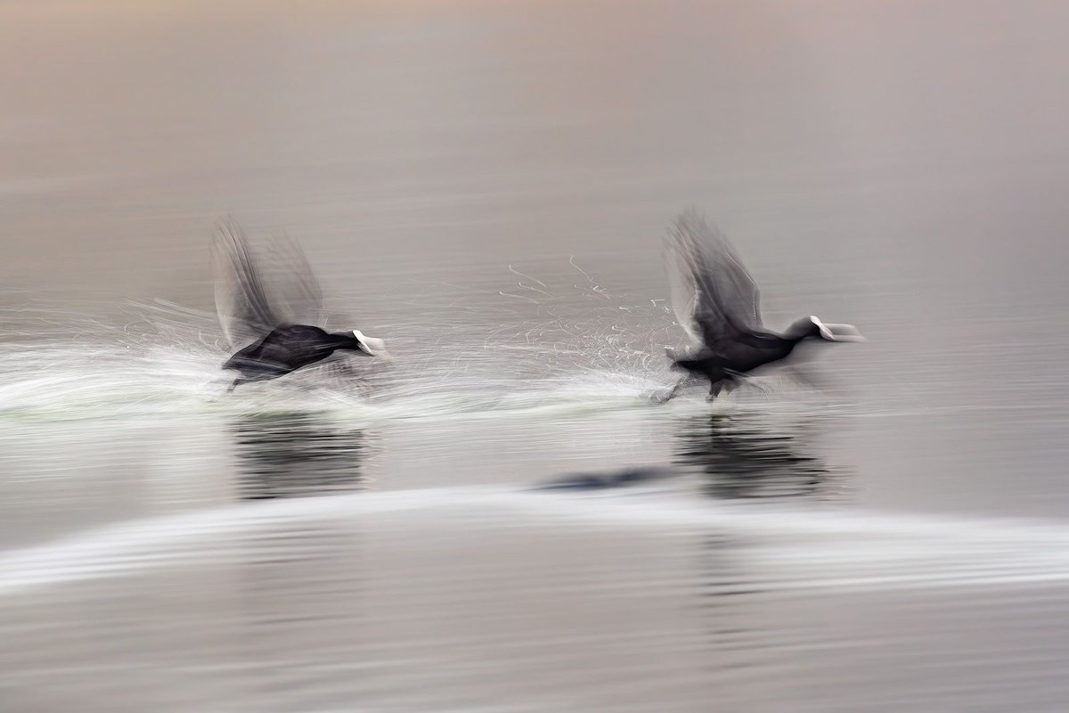 Steve Palmer tweet media