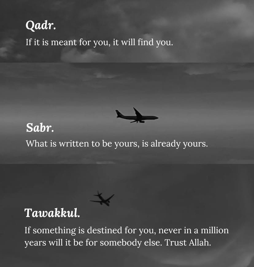 fateemah_sabs's tweet photo. Alhamdulillah for everything.🤲🏽❤️ https://t.co/kFZRIIbQ7O