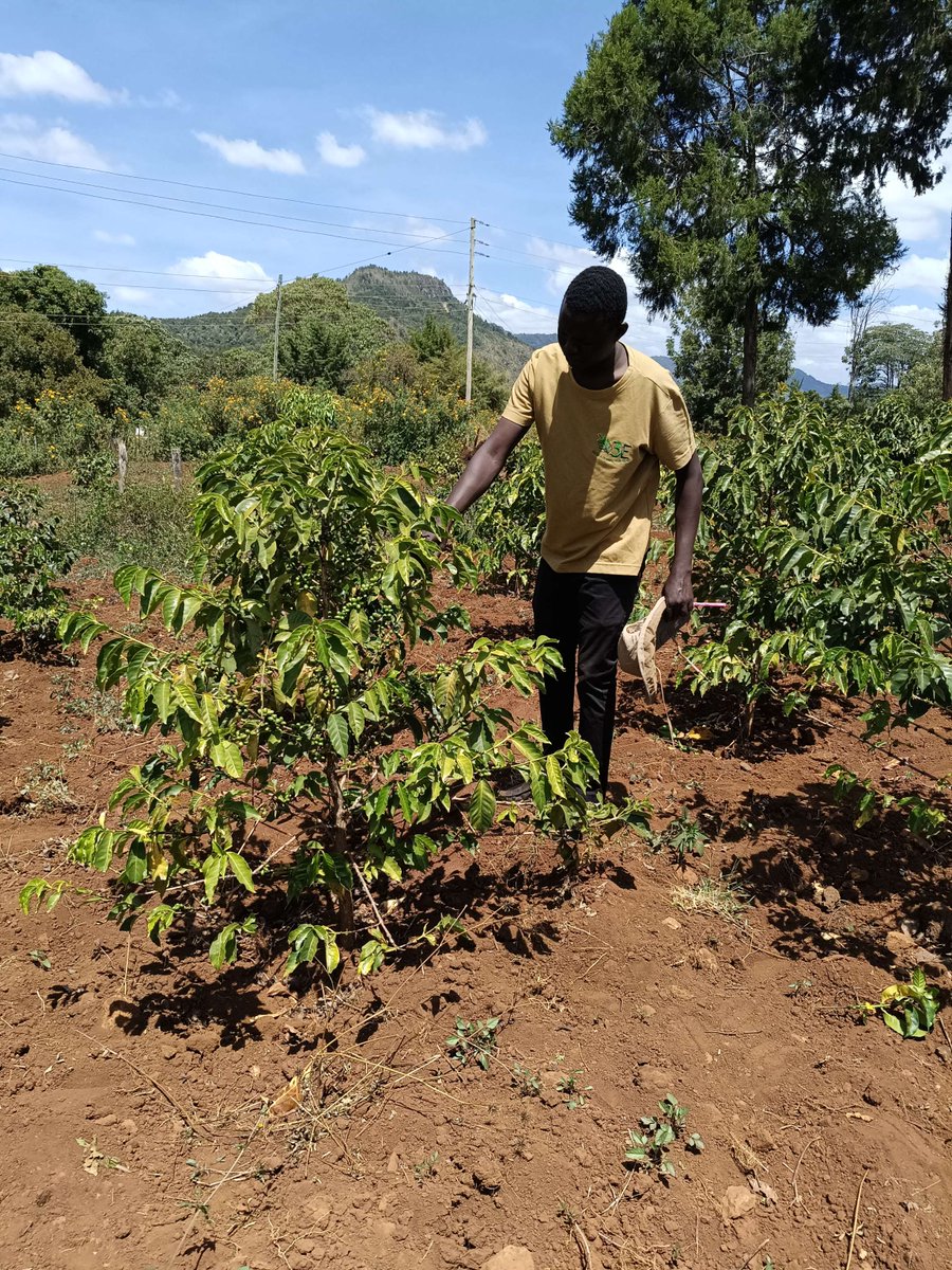 3E_Africa tweet media