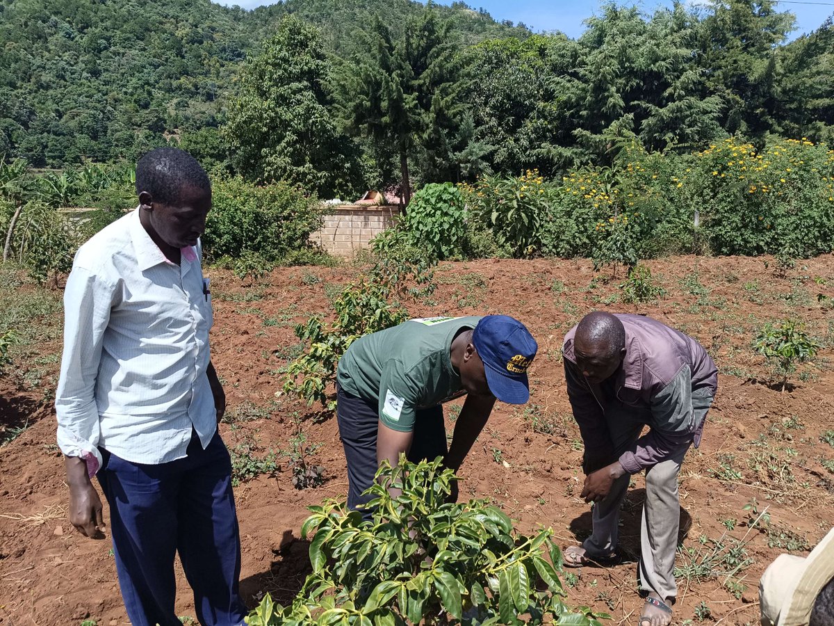 3E_Africa tweet media