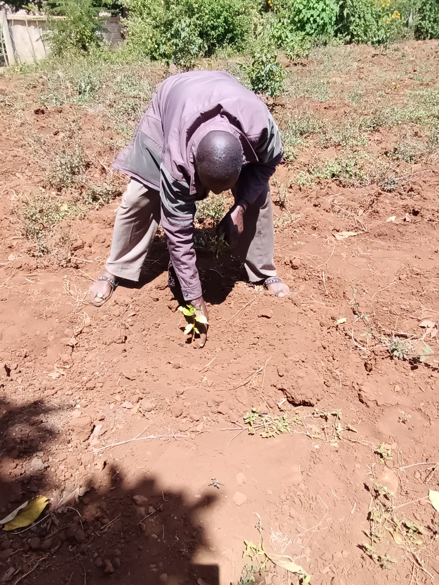 3E_Africa tweet media