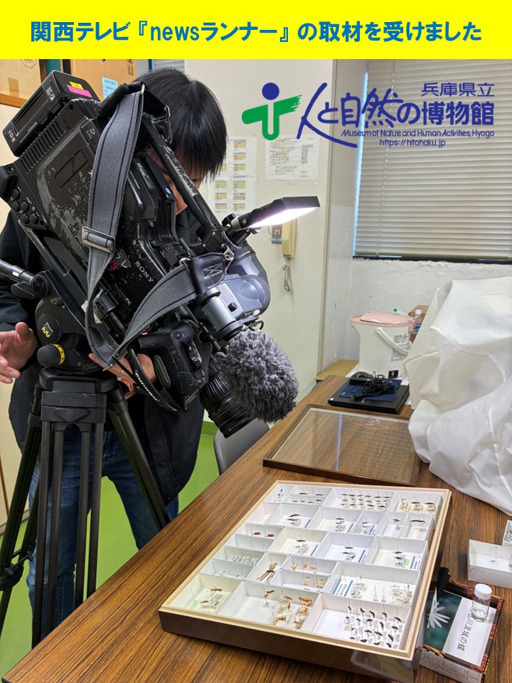 兵庫県立人と自然の博物館 tweet media