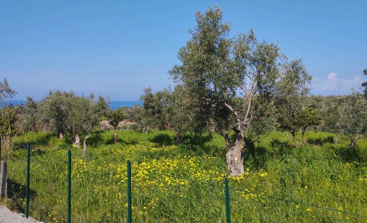 C_ Say@ 💜Gonzales@ tweet media