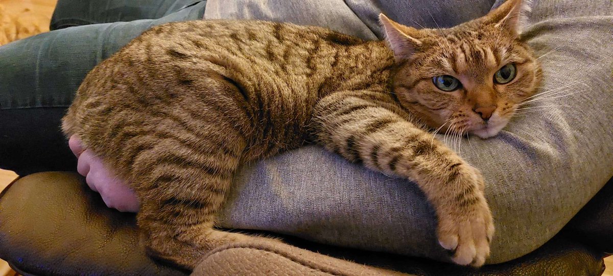 VHeartClips tweet media