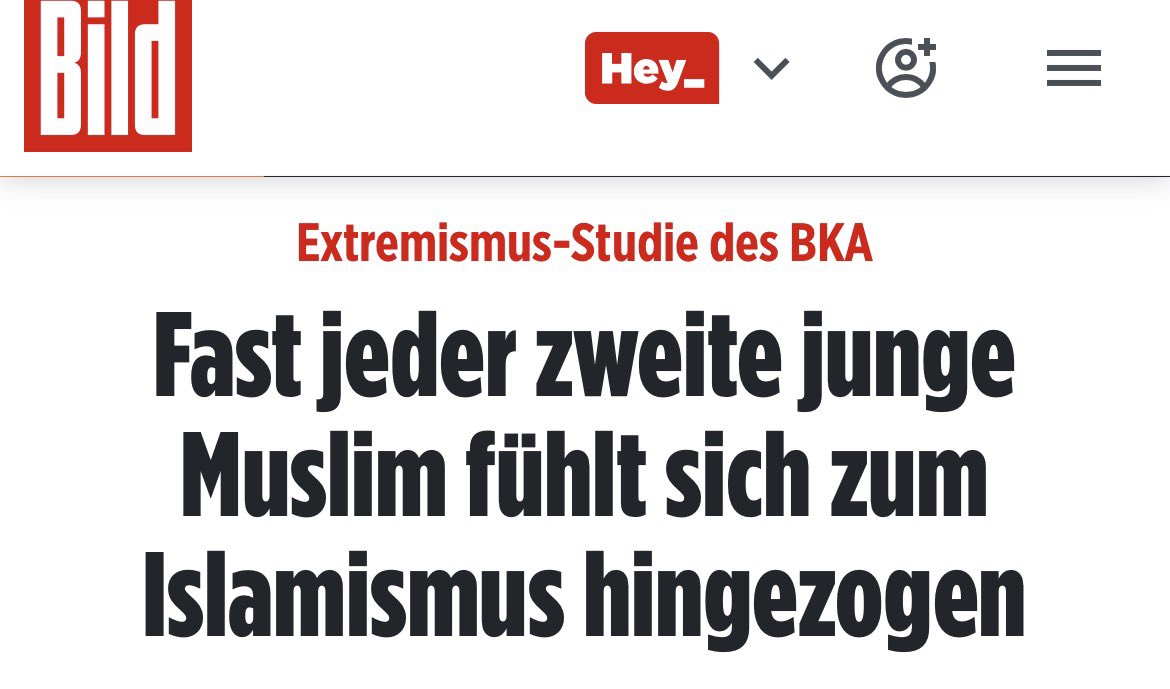 Wolfgang Kubicki tweet media