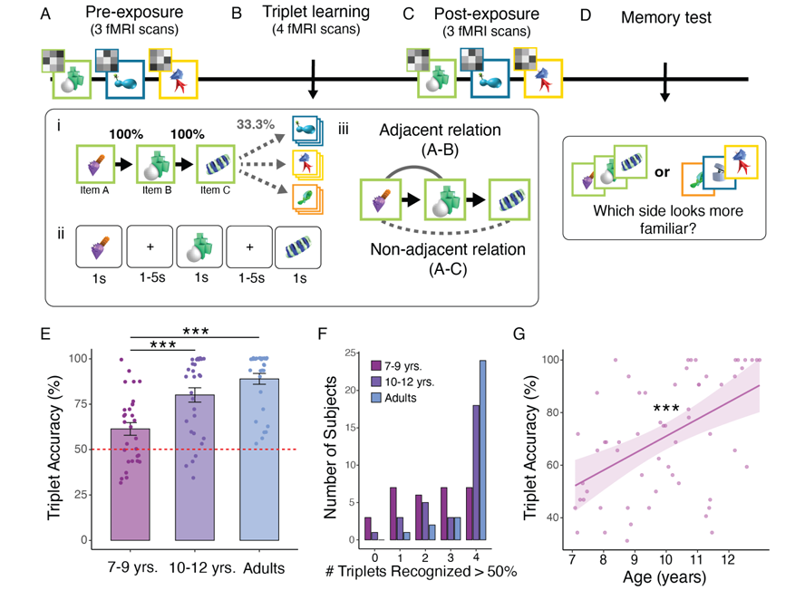 A.Benítez-Burraco tweet media