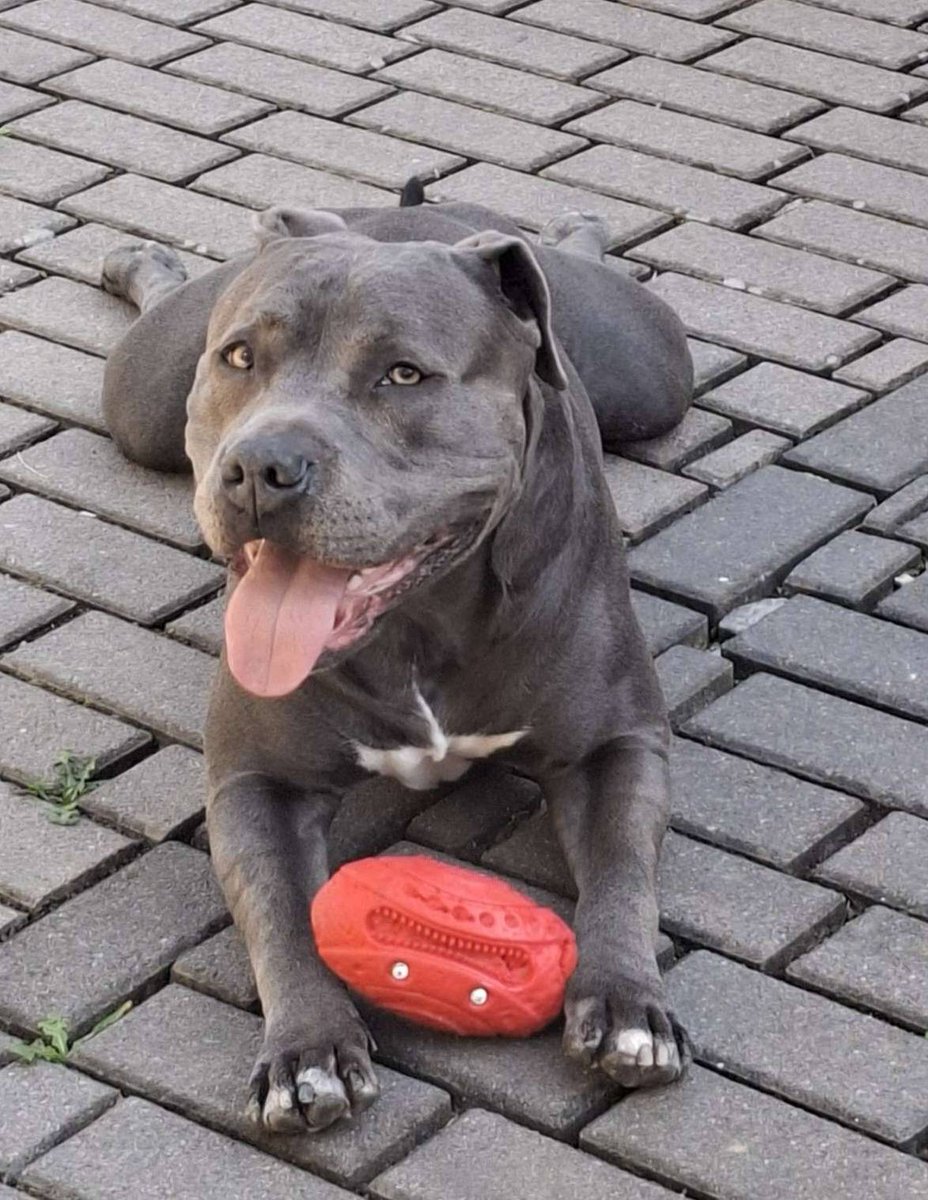 VHeartClips tweet media