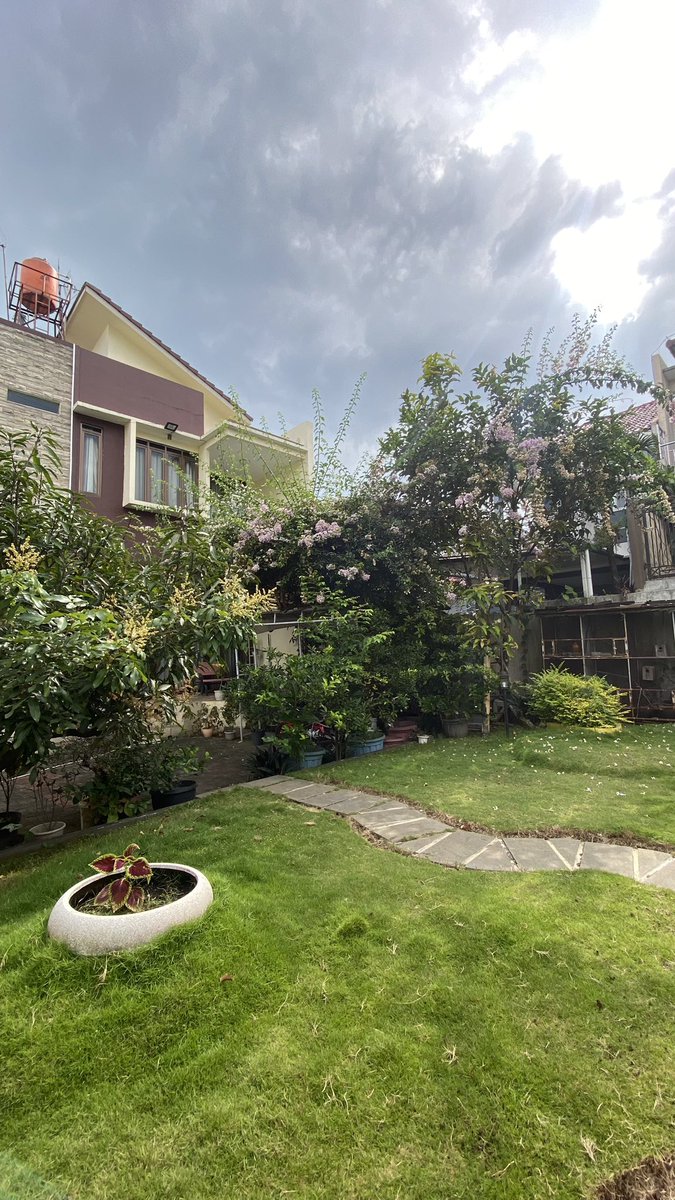 maya kuliahan tweet media