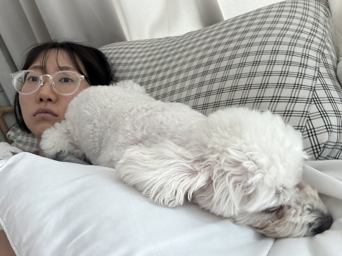 신뢰의 엉덩이폭격