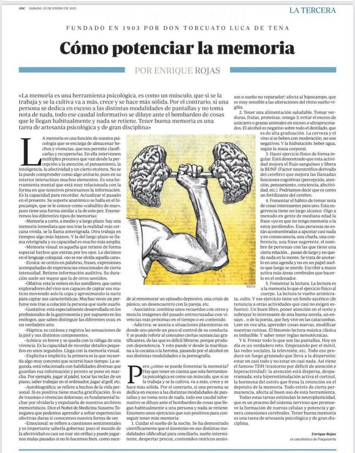 virginiog's tweet photo. Interesante artículo de cómo potenciar la memoria,...se trabaja como un músculo por Enrique Rojas https://t.co/3oDPSoXZe6