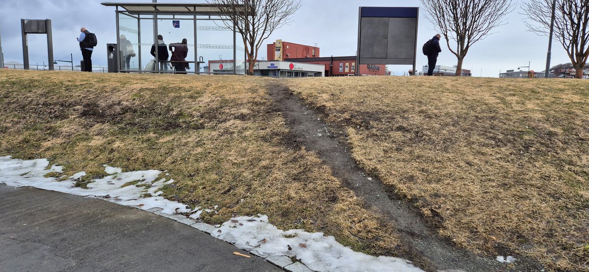 Lars Bugge Aarset tweet media