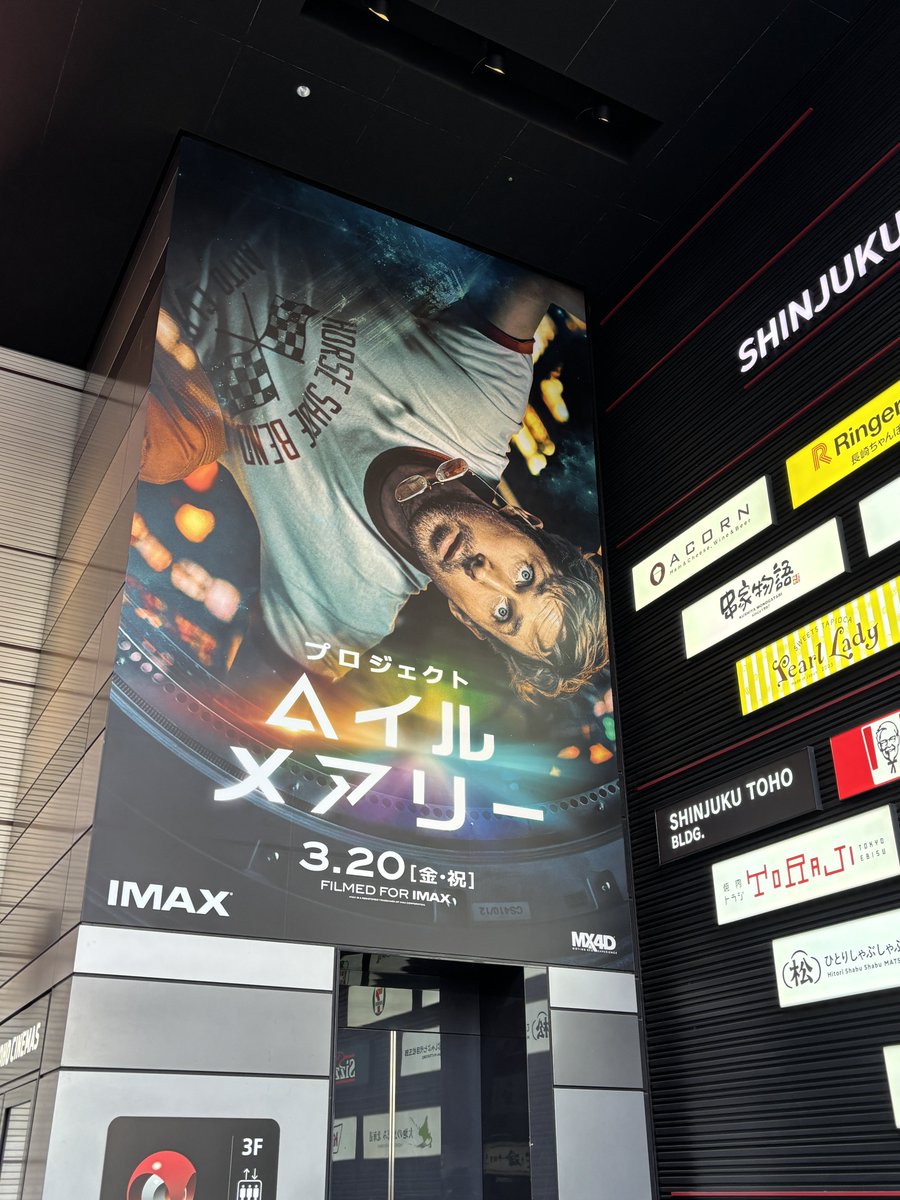 ねこのひと tweet media