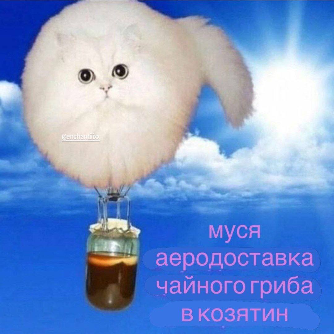 мої сни