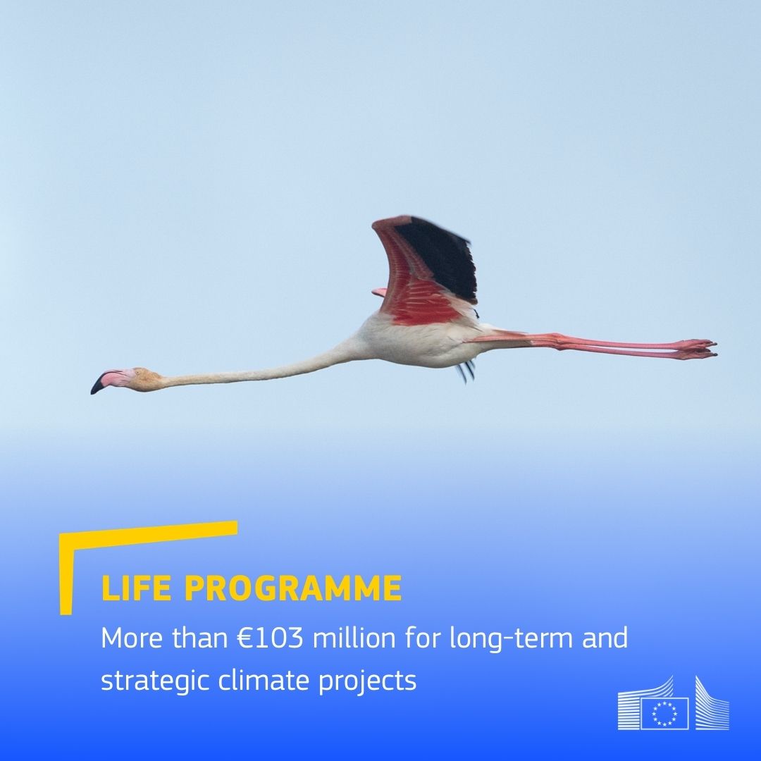 European Commission tweet media