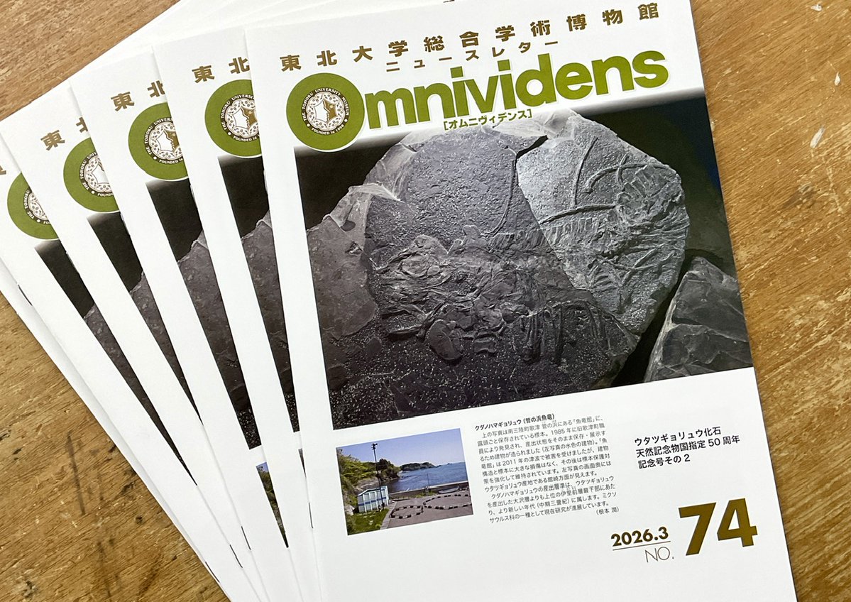 東北大学総合学術博物館 tweet media