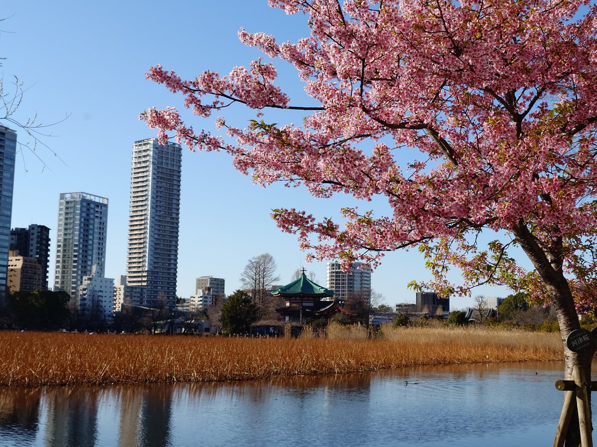 株式会社ＦＹＦ【公式】 tweet media