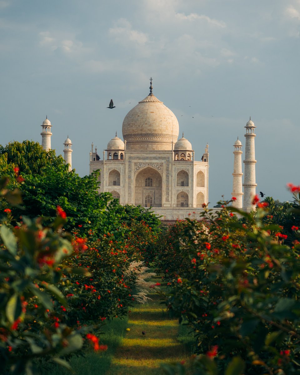 OM SYSTEM JP tweet media