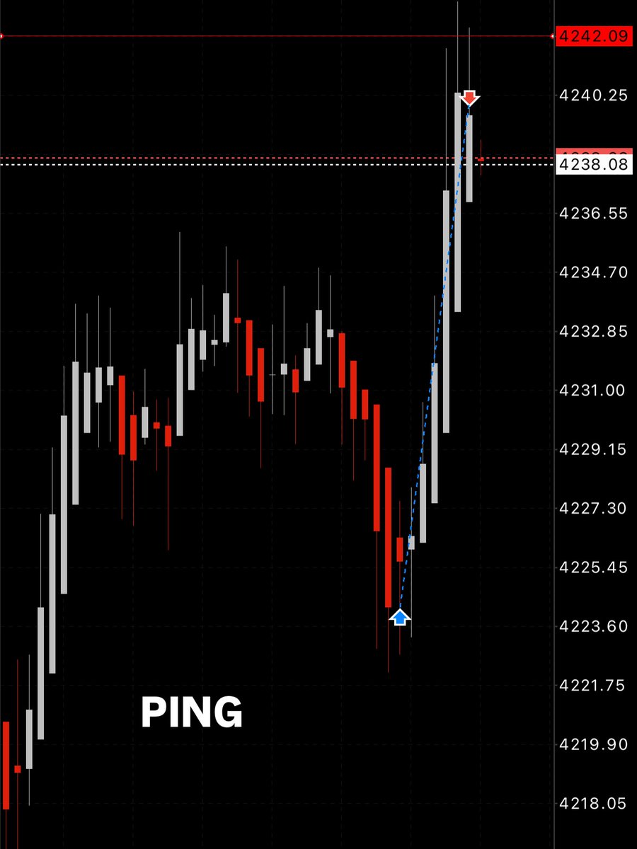 Rayan Hadid tweet media