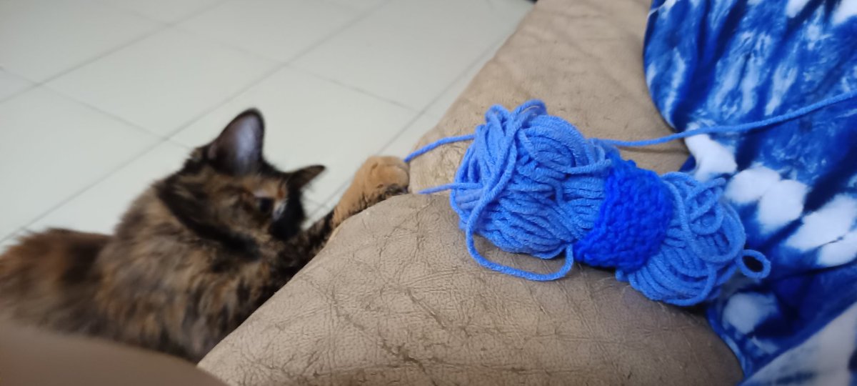 eka_MR265's tweet photo. @9GAG They do like yarns. https://t.co/J32UvkahUC