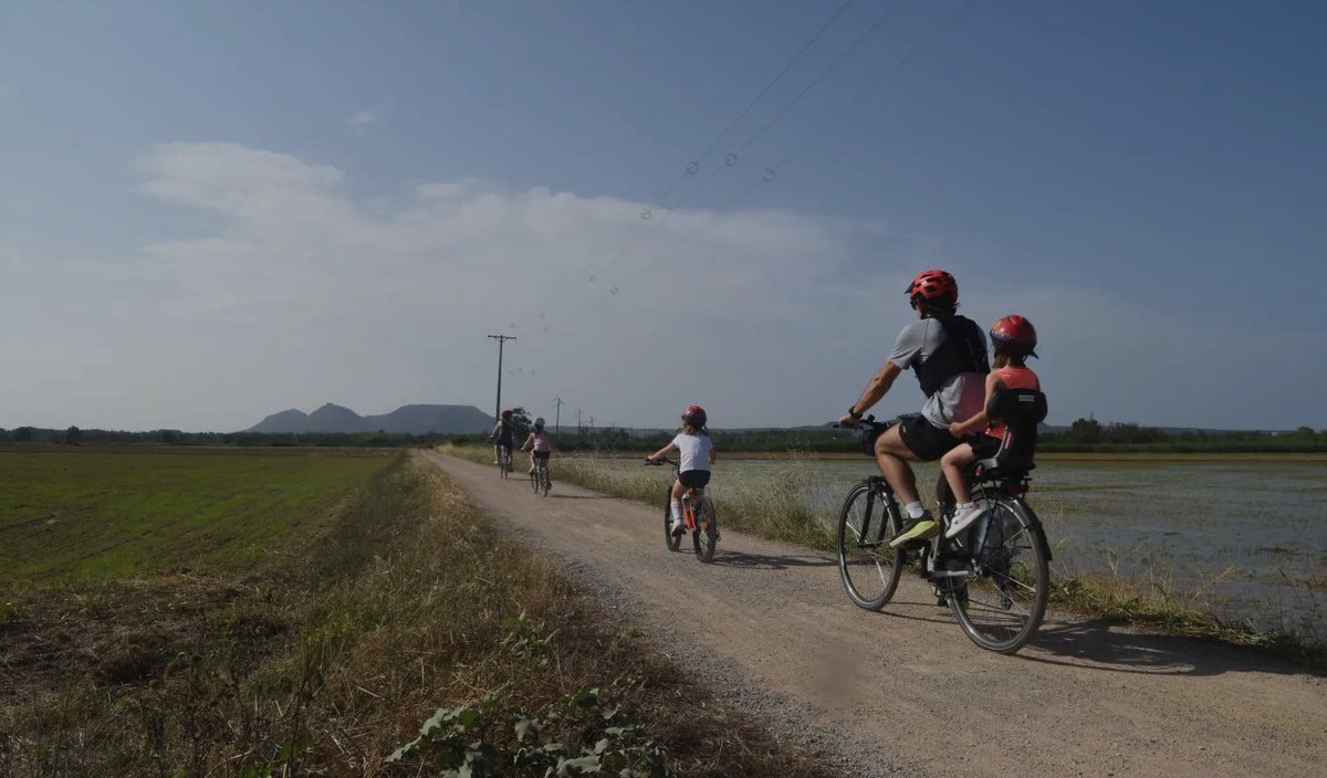 costabrava's tweet image. 🌾🚲 Descobreix els arrossars de #Pals d’una manera diferent amb la "Ruta de l’arròs amb els cinc sentits" que proposa Nafent Bike Rental, una experiència en bicicleta elèctrica per pedalar entre camps i conèixer la cultura de l’arròs del Baix Empordà. 👉🏼 loom.ly/hhAqsoc
