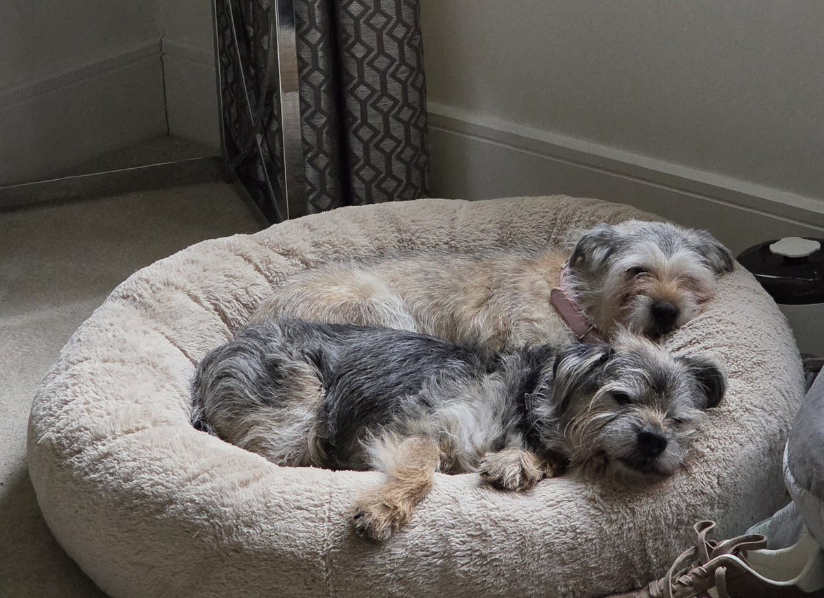 Lord Oscar Blue & Lady Ruby Red, BT Squad tweet media