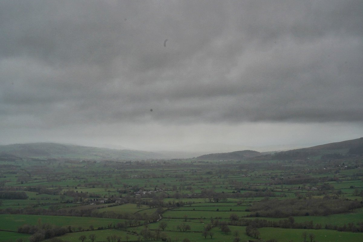 Matthew Halstead tweet media