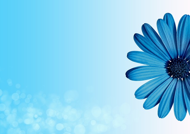 Michael Wagner tweet media