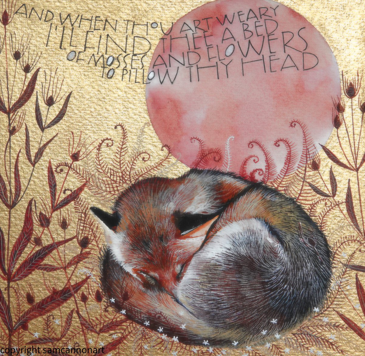 'And when thou art weary I'll find thee a bed, Of mosses and flowers to pillow thy head.'
John Keats

I woke up about 50 times last night. And can feel my body trembling today. All this news is not doing my nerves any good. 

Why can't good people be in charge of the world....