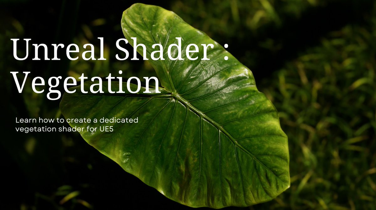 WINGFOX STUDIO OFFICAL tweet media