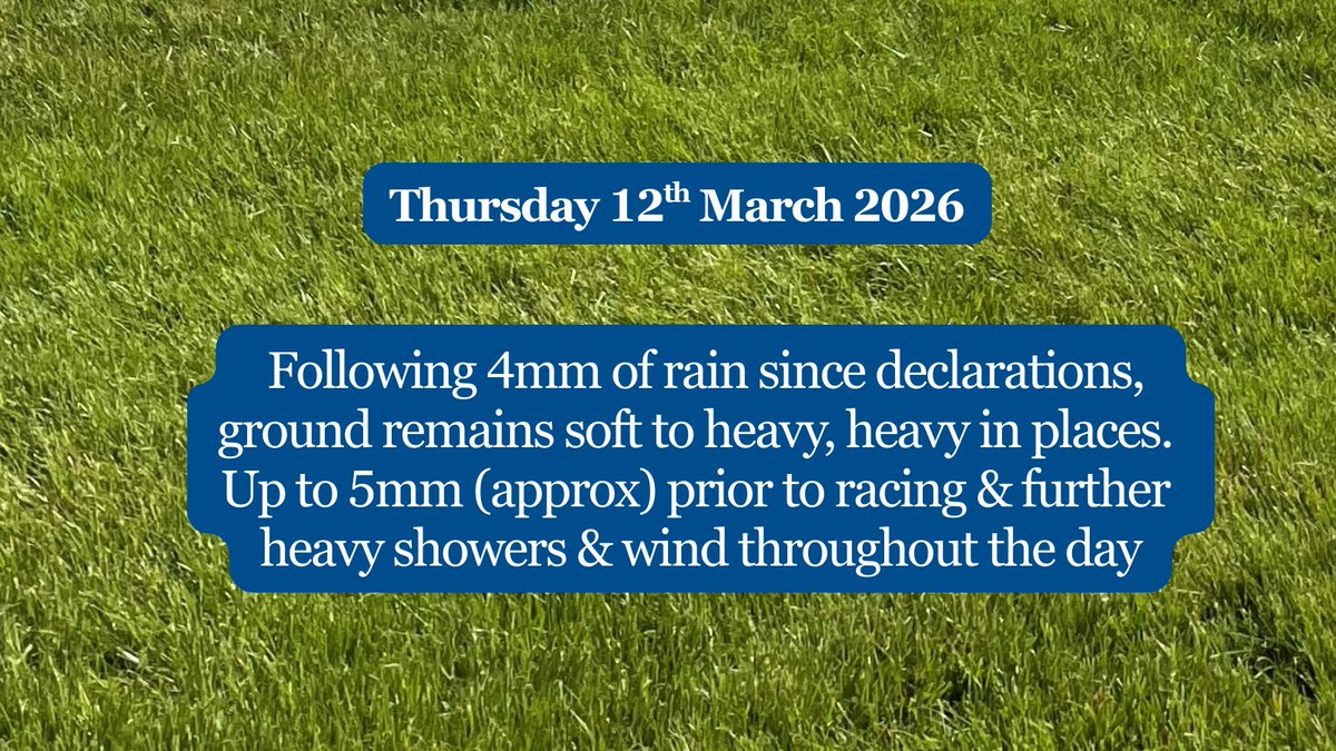 Limerick Races tweet media