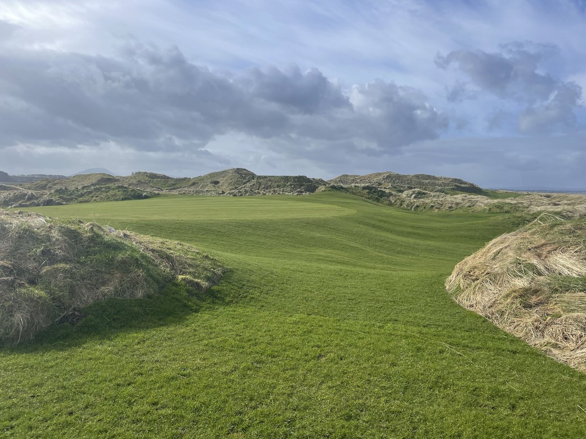 Ken Kearney tweet media