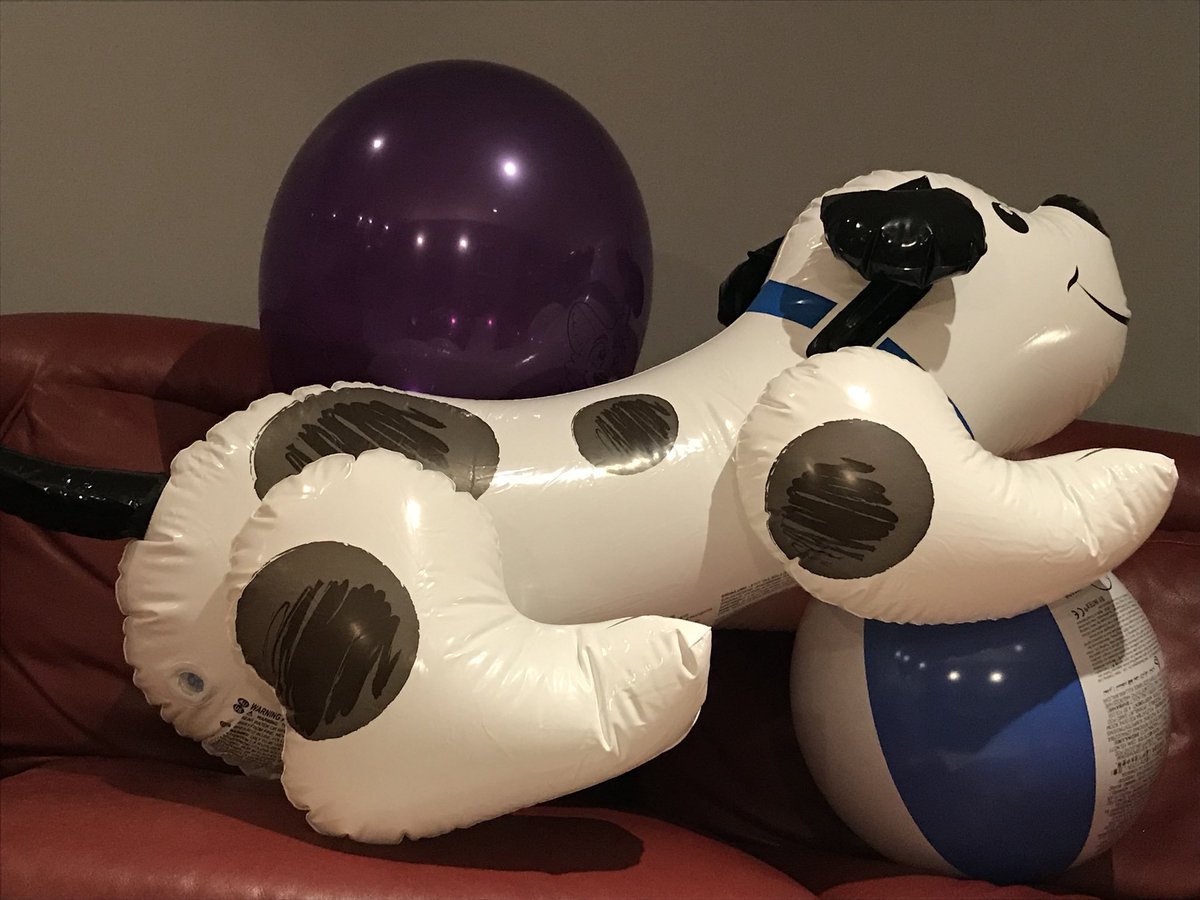 🦌🎈Buckley🌹🍞 tweet media