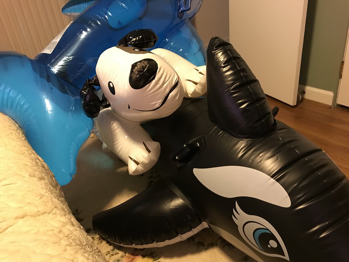 🦌🎈Buckley🌹🍞 tweet media