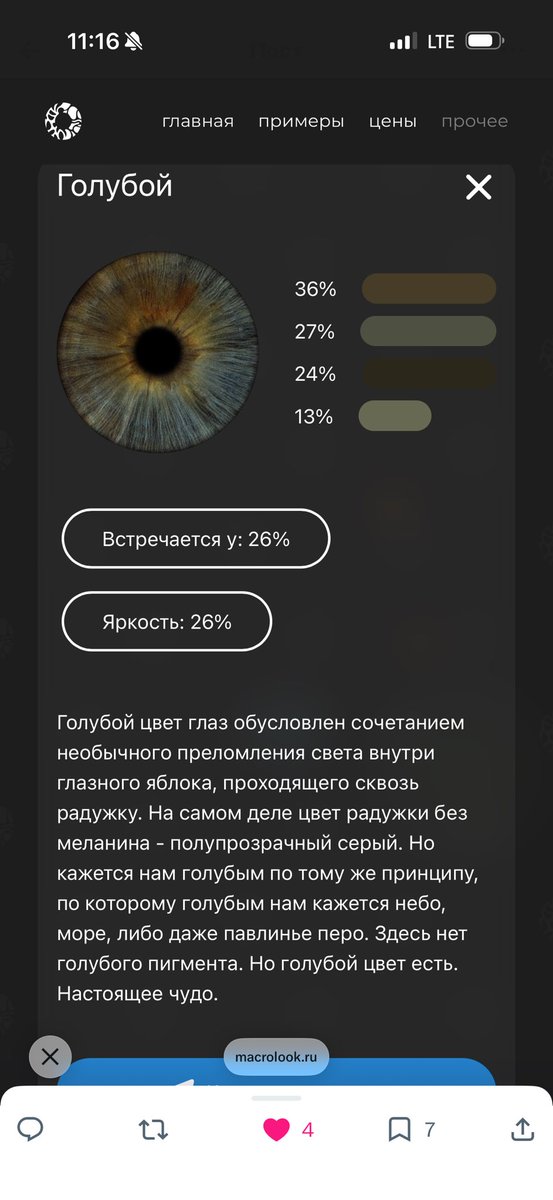Shtabsef's tweet photo. @gemi_softy Гибрид какой-то https://t.co/7r2deyv9R5