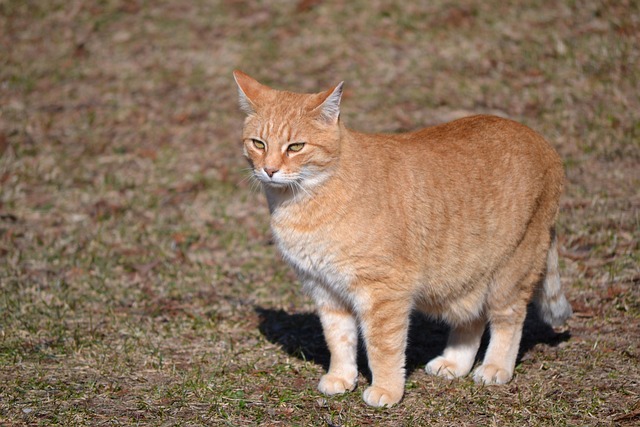 Aaron Cranor tweet media