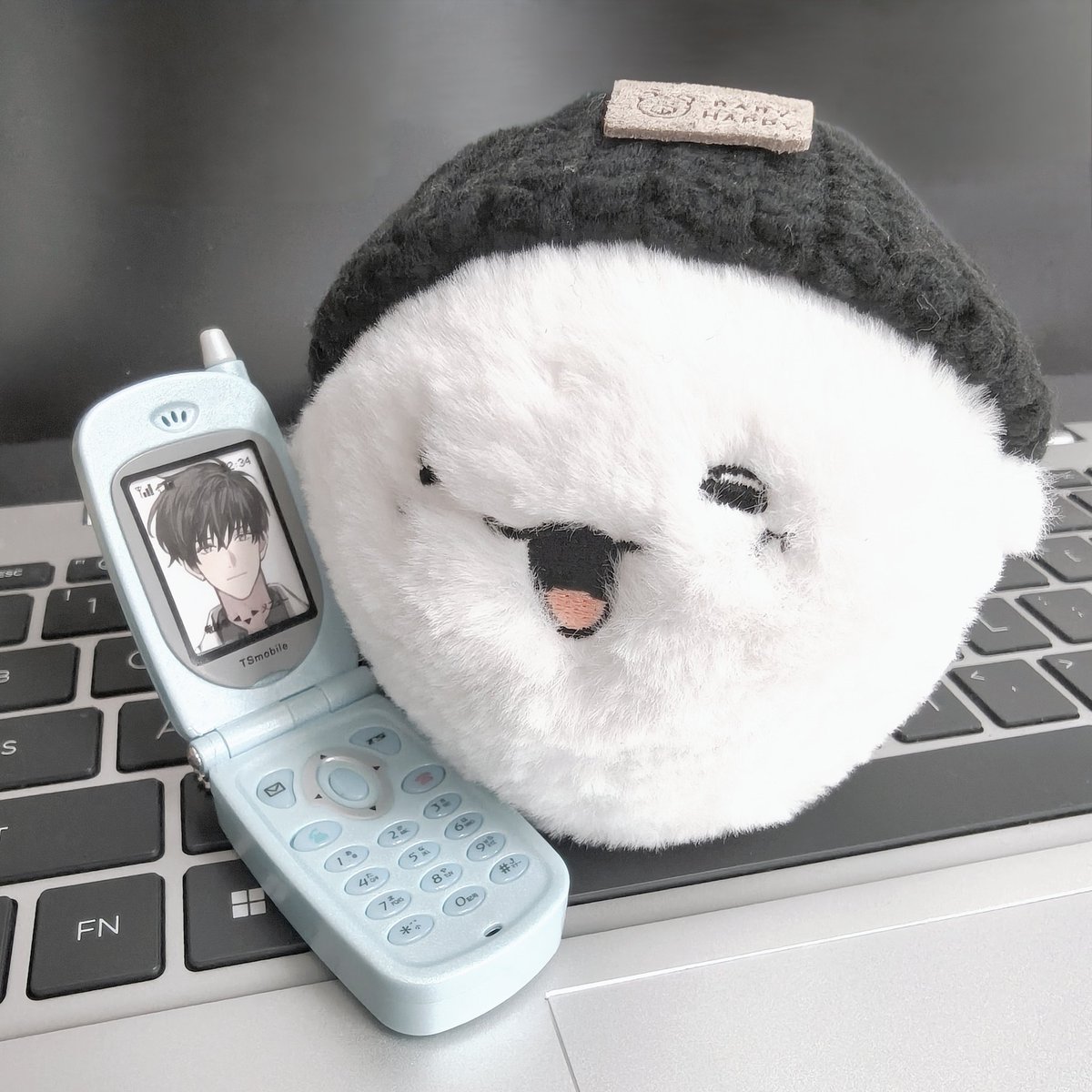 North wall tweet media