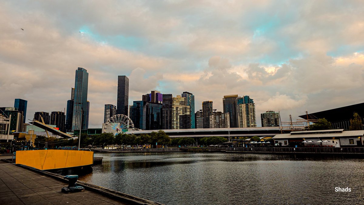 Shads 🔜 TGX Melbourne tweet media