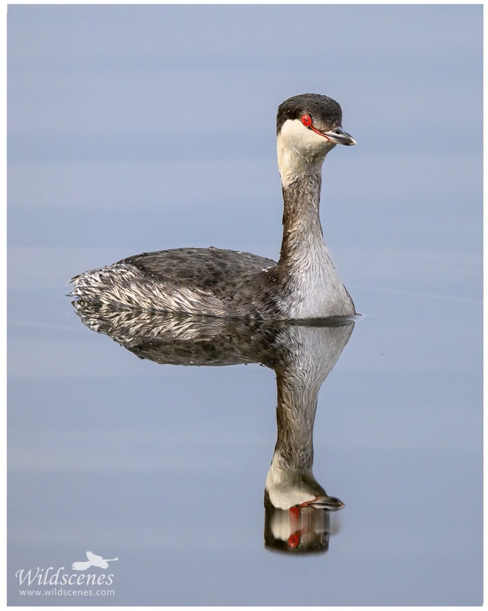 John Gardner tweet media