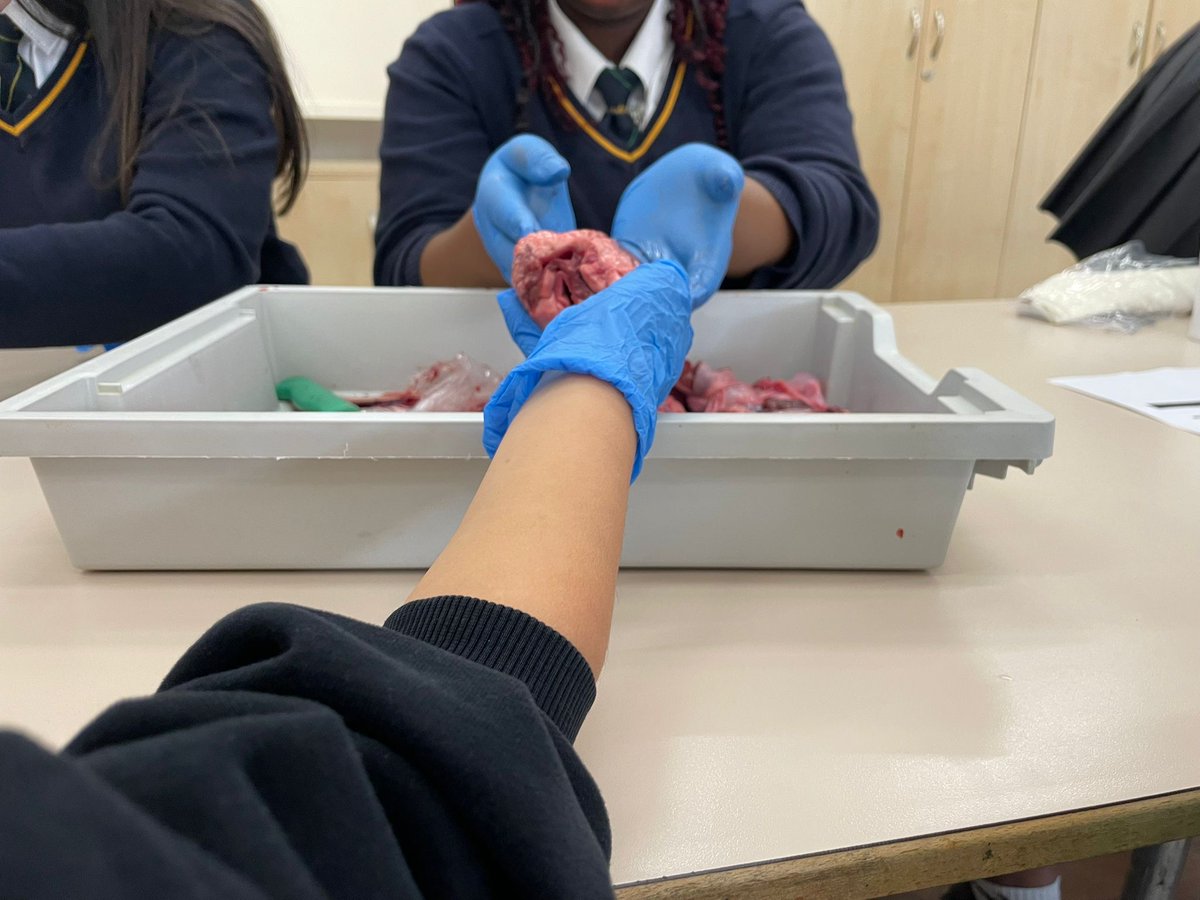 FP2 Science tweet media