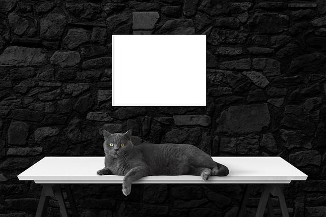 Lori Butler tweet media