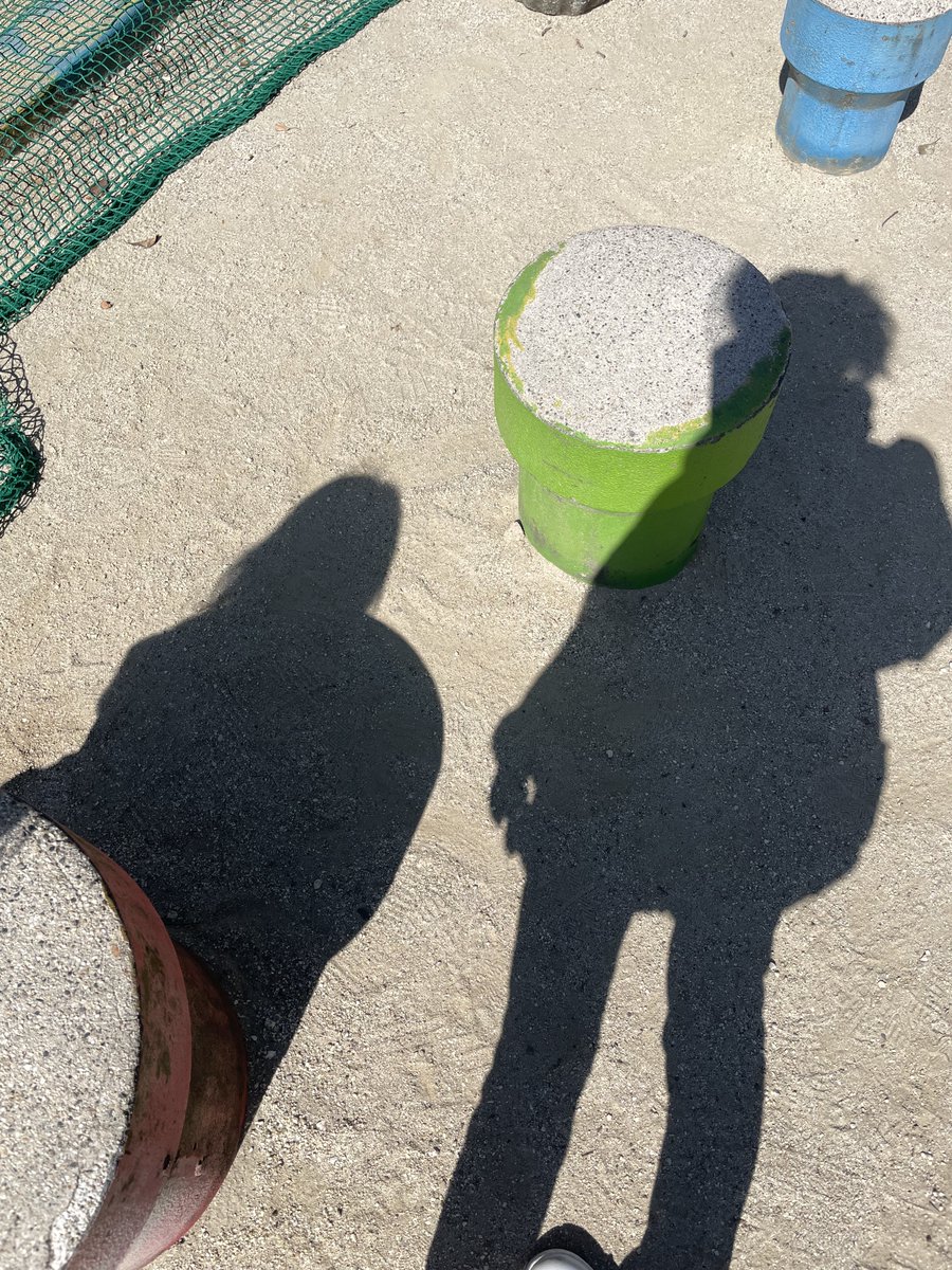 いぬ山たぬ子☺︎❁𖥧🦔2歳児と0歳児なう tweet media