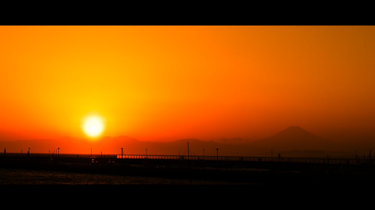 みゅーと (@mute__vrc) on Twitter photo 