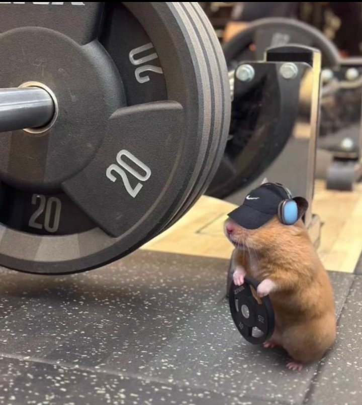 MacXOnly's tweet image. I noticed something about most traders:
They study charts for hours
but review their mistakes for 5 minutes.
That's backwards.
#TradingJourney #Forex