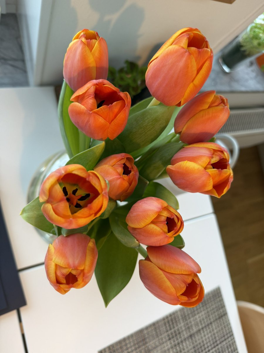 Relocate2London's tweet image. 🌸 Happy International Women’s Day!

We’re proud to help women from around the world relocate to London for new careers, new opportunities, and new homes. 🏡

Fast placements
Verified flats
100% guaranteed 💯

👉 londonrelocation.com

#InternationalWomensDay #LondonRelocation