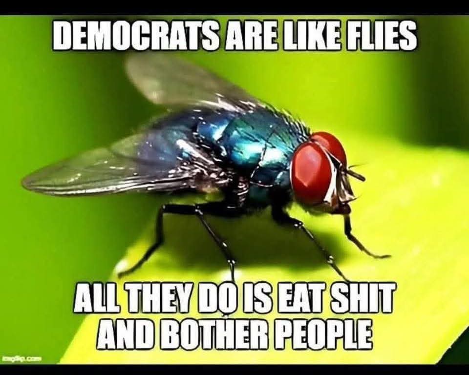 Black__Mantis's tweet photo. @abbydphillip https://t.co/tTyqt0Xzk4