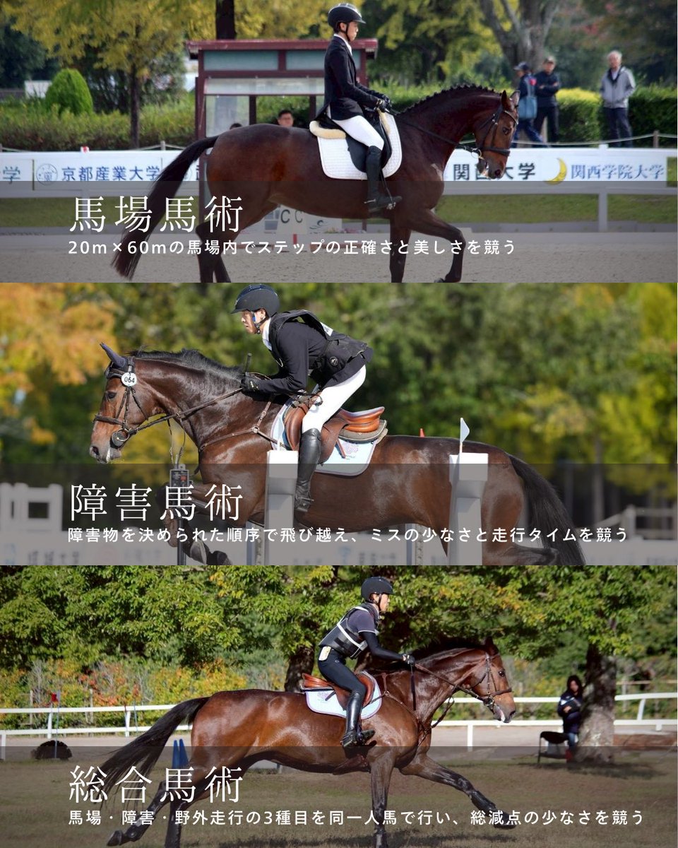 tsukuuma2026's tweet photo. こんにちは！筑波大学馬術部です！
馬術には、馬場馬術、障害馬術、総合馬術の3つの競技があり、それぞれに違った魅力があります🍀
筑波大学馬術部では大学から馬術を始めた部員も多く、各々得意な競技で活躍しています！✨
ぜひ一度見学だけでもお気軽にお越しください🐴
#春から筑波
#筑波新歓2026 https://t.co/u5mJs7phAi