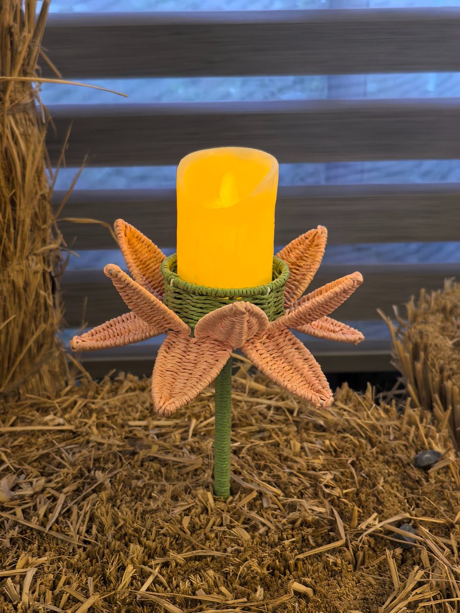 JiaQiang89871's tweet photo. Hats, lamps, bags... grass weaves all — something for the world to love.
#文化出海 #非遗 #草编 #SomethingForEveryone https://t.co/GjieWPJTM7
