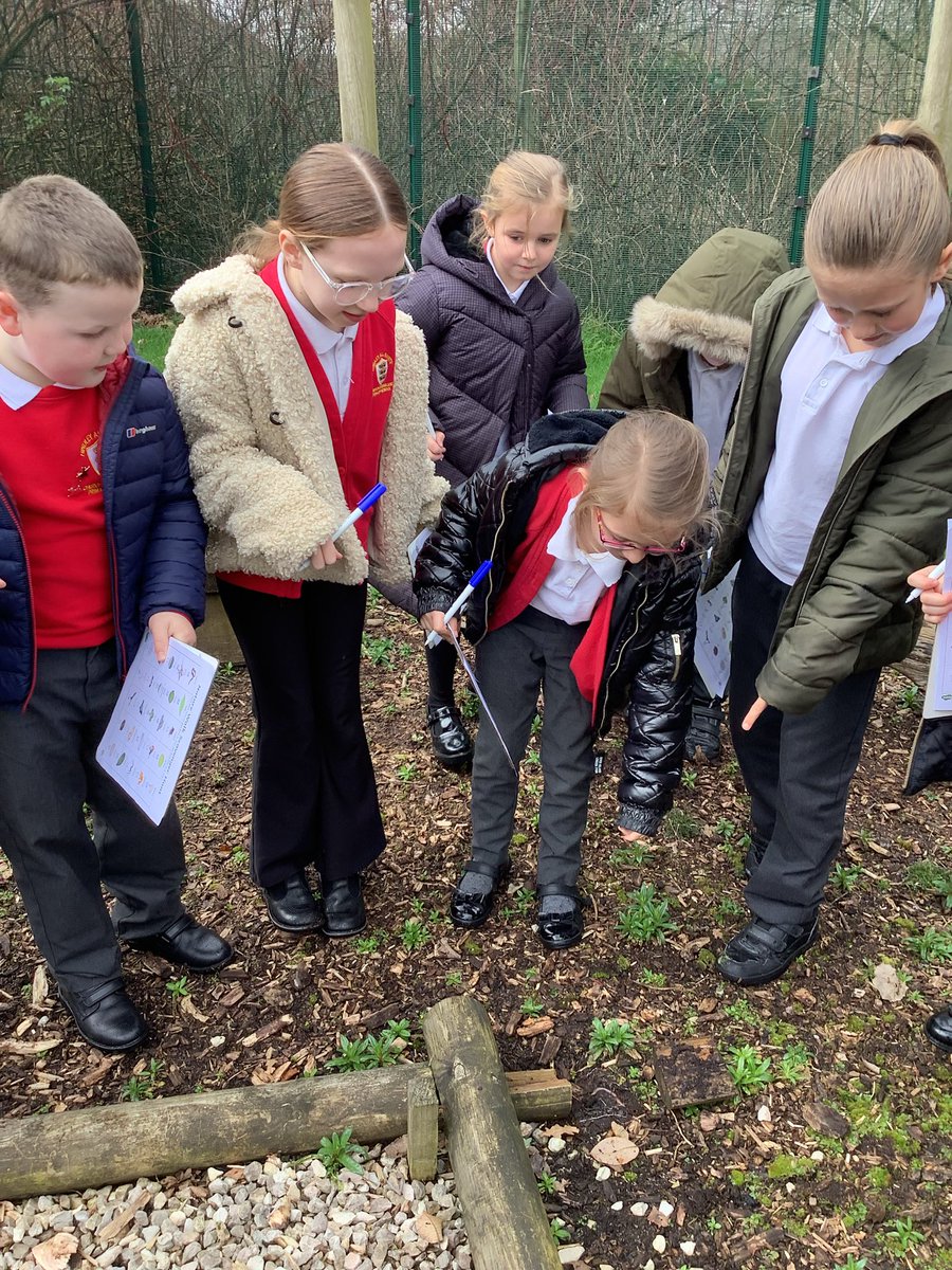 Y3HAS's tweet photo. We went on a nature walk scavenger hunt to celebrate #BritishScienceWeek We loved searching for all of the wildlife and plants 🪱🐦🌼🌱 #BSW26 #ScienceInSchool #CuriosityInScience https://t.co/vGftgeuVyZ